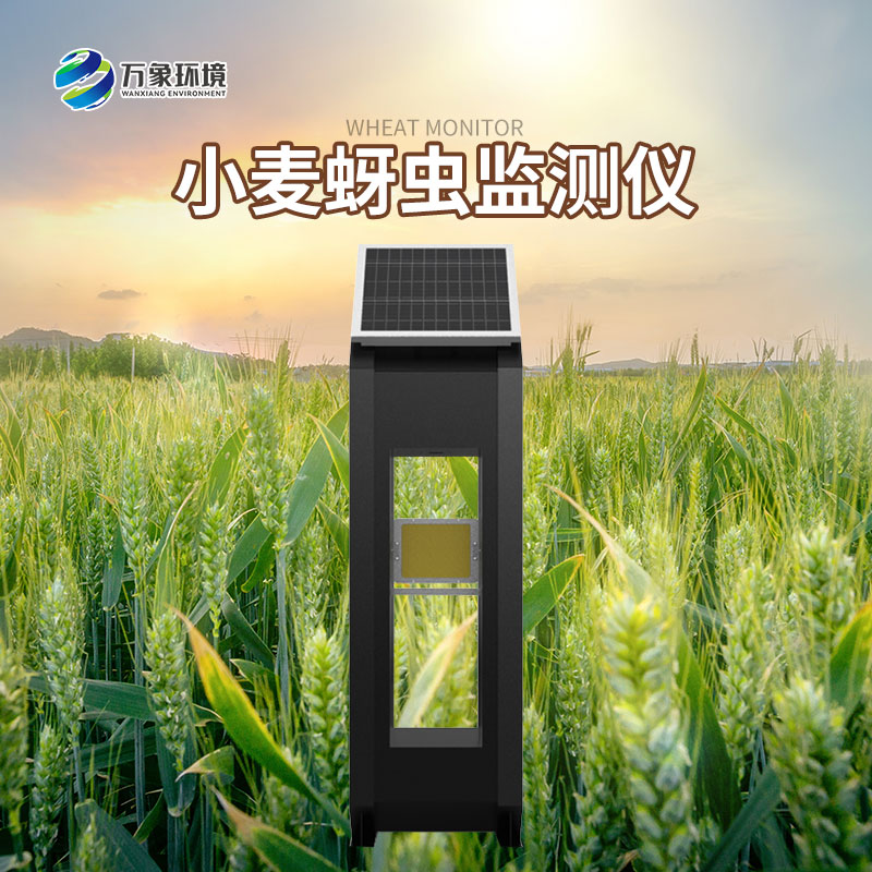 小麥蚜蟲監測儀